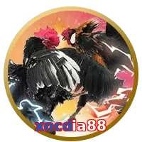 xocdia88