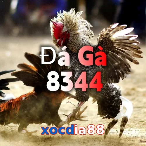 xocdia88